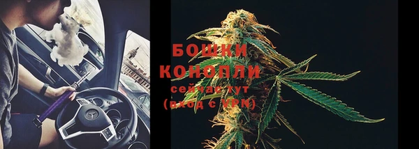 трава Богданович