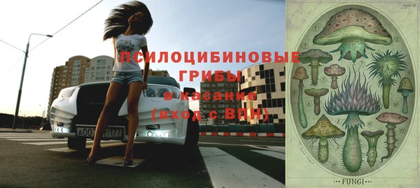 синтетический гашиш Богородицк
