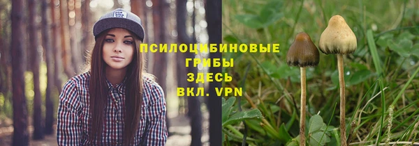 амф Беломорск