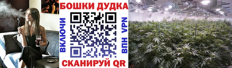 купить наркотик Луховицы Бошки Шишки марихуана